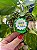Enfeite Copa - Imagem 1