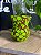 Cuia Bago 360 Floral - Imagem 1