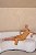VESTIDO LONGUETE TOULOUSE - CAMEL - Imagem 6