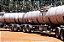 Rodotrem Tanque Aço Inox com Dolly Kronorte • 2007 / 60.000L / Carregamento Top Loading - Imagem 2