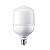 Lampada LED Alta Potência E27 Bivolt 30W 6500K Luz Fria 3800lm Philips - Imagem 2