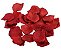 Pétalas de Rosas Perfumadas - Imagem 2