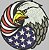 Patch Águia Americana 09x09 cm - Imagem 1