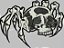 Patch Caveira Aranha 09x08 cm - Imagem 1