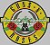 Patch Guns N' Roses 28x29 cm - Imagem 1