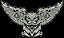 Patch Coruja - Imagem 1