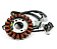 ESTATOR ELITE 125 19/20 - Imagem 1