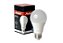 Lâmpada LED 12w Bulbo E27 6500k Luz Branca Bivolt - Avant - Imagem 1