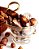 Guylian Conchinhas de Chocolate Belga ao Leite com Pralinê de Avelã 6un 65g - Imagem 2