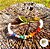 Choker 7 Chakras, cascalho de pedras naturais. PROMO - Imagem 2