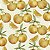 Papel de Parede Adesivo Vinil Laranja Fruta Baunilha Cozinha - Imagem 3