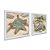 Kit 2 Quadros Decorativos Quadrados Conchas Mar Praia Areia Estrela Pintura Azul 21cm x 21cm - Imagem 1