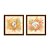 Kit 2 Quadros Decorativos Quadrado Sépia Bege Concha Corais Elegante Mar Praia Vintage Pintura Madeira 21cm x 21cm - Imagem 6