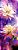 Kit 2 Quadros Lavabo Roxo Azul Colorido Galáxia Floral Flor - Imagem 5