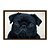 Quadro Decorativo Cachorro Pug Preto - Imagem 5