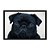 Quadro Decorativo Cachorro Pug Preto - Imagem 3
