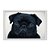 Quadro Decorativo Cachorro Pug Preto - Imagem 1