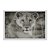 Quadro Decorativo Leoa Sépia - Imagem 1