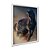 Quadro Decorativo Cavalo Marrom a Galopar - Imagem 2