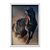 Quadro Decorativo Cavalo Marrom a Galopar - Imagem 1