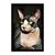 Quadro Decorativo Gato Sem Pelo Sphynx - Imagem 3