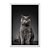 Quadro Decorativo Gato Preto E Branco - Imagem 1