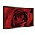 Quadro Decorativo Orvalho Numa Rosa Vermelha - Imagem 6