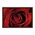 Quadro Decorativo Orvalho Numa Rosa Vermelha - Imagem 5