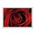 Quadro Decorativo Orvalho Numa Rosa Vermelha - Imagem 1