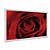 Quadro Decorativo Orvalho Numa Rosa Vermelha - Imagem 2