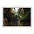 Quadro Decorativo Cachoeira Paisagem Verde Floresta - Imagem 1