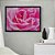 Quadro Decorativo Orvalho Numa Rosa - Imagem 7