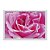 Quadro Decorativo Orvalho Numa Rosa - Imagem 1