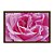 Quadro Decorativo Orvalho Numa Rosa - Imagem 5