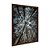 Quadro Decorativo FlorestaVista Por Baixo - Imagem 6