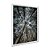 Quadro Decorativo FlorestaVista Por Baixo - Imagem 2