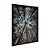 Quadro Decorativo FlorestaVista Por Baixo - Imagem 4