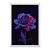Quadro Decorativo Rosa Em Degradê De Rosa Para Roxo Fundo Preto - Imagem 1