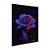 Quadro Decorativo Rosa Em Degradê De Rosa Para Roxo Fundo Preto - Imagem 4