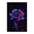 Quadro Decorativo Rosa Em Degradê De Rosa Para Roxo Fundo Preto - Imagem 3