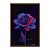 Quadro Decorativo Rosa Em Degradê De Rosa Para Roxo Fundo Preto - Imagem 5