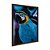 Quadro Decorativo Arara Azul - Imagem 6