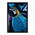 Quadro Decorativo Arara Azul - Imagem 3