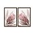 Kit Dois Quadros Decorativos Foto Aproximada Flor Rosa Fundo Branco - Imagem 5