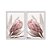 Kit Dois Quadros Decorativos Foto Aproximada Flor Rosa Fundo Branco - Imagem 1