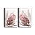 Kit Dois Quadros Decorativos Foto Aproximada Flor Rosa Fundo Branco - Imagem 3