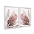 Kit Dois Quadros Decorativos Foto Aproximada Flor Rosa Fundo Branco - Imagem 2