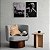 Kit Dois Quadros Decorativos Estátua Grega Preto E Branco Efeito Tinta a Óleo - Imagem 8