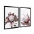 Kit Dois Quadros Decorativos Diferentes Ângulos De Uma Mesma Flor Branca - Imagem 4