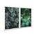 Kit Dois Quadros Decorativos Suculentas Verdes - Imagem 2